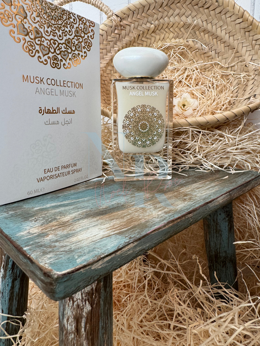 Angel Musk Gulf Orchid