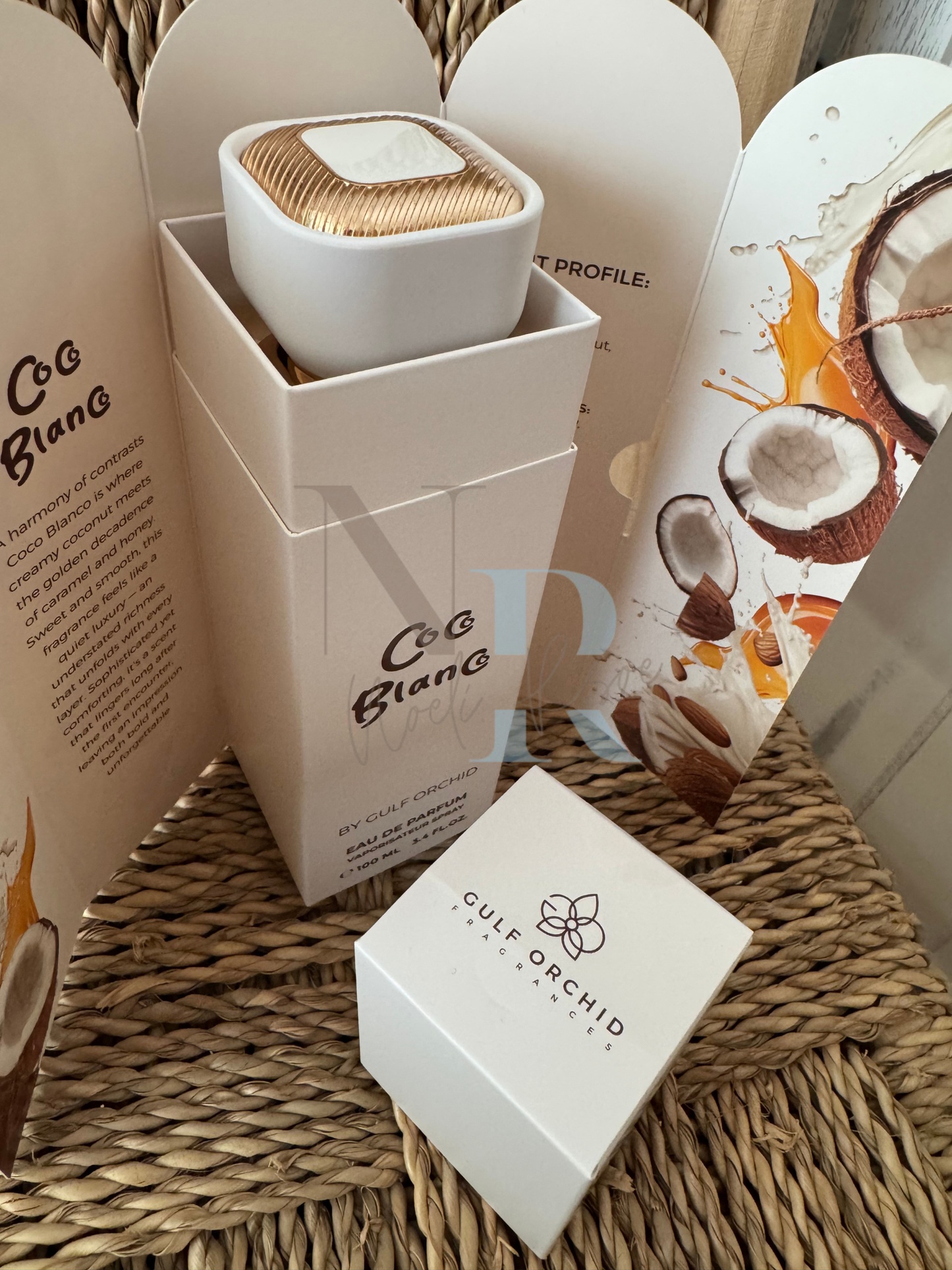 Coco Blanco - Gulf Orchid